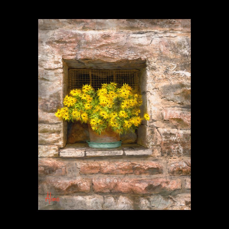 Assisi Bouquet